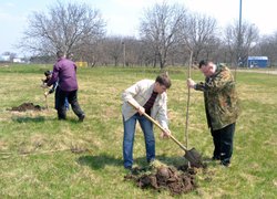 Actions “Clean Environment” and “Plant a Tree”